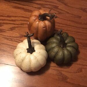 Set of Decorative Pumpkins in orange, Green, and Cream